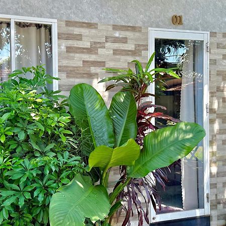 Ho Coc Homestay المظهر الخارجي الصورة