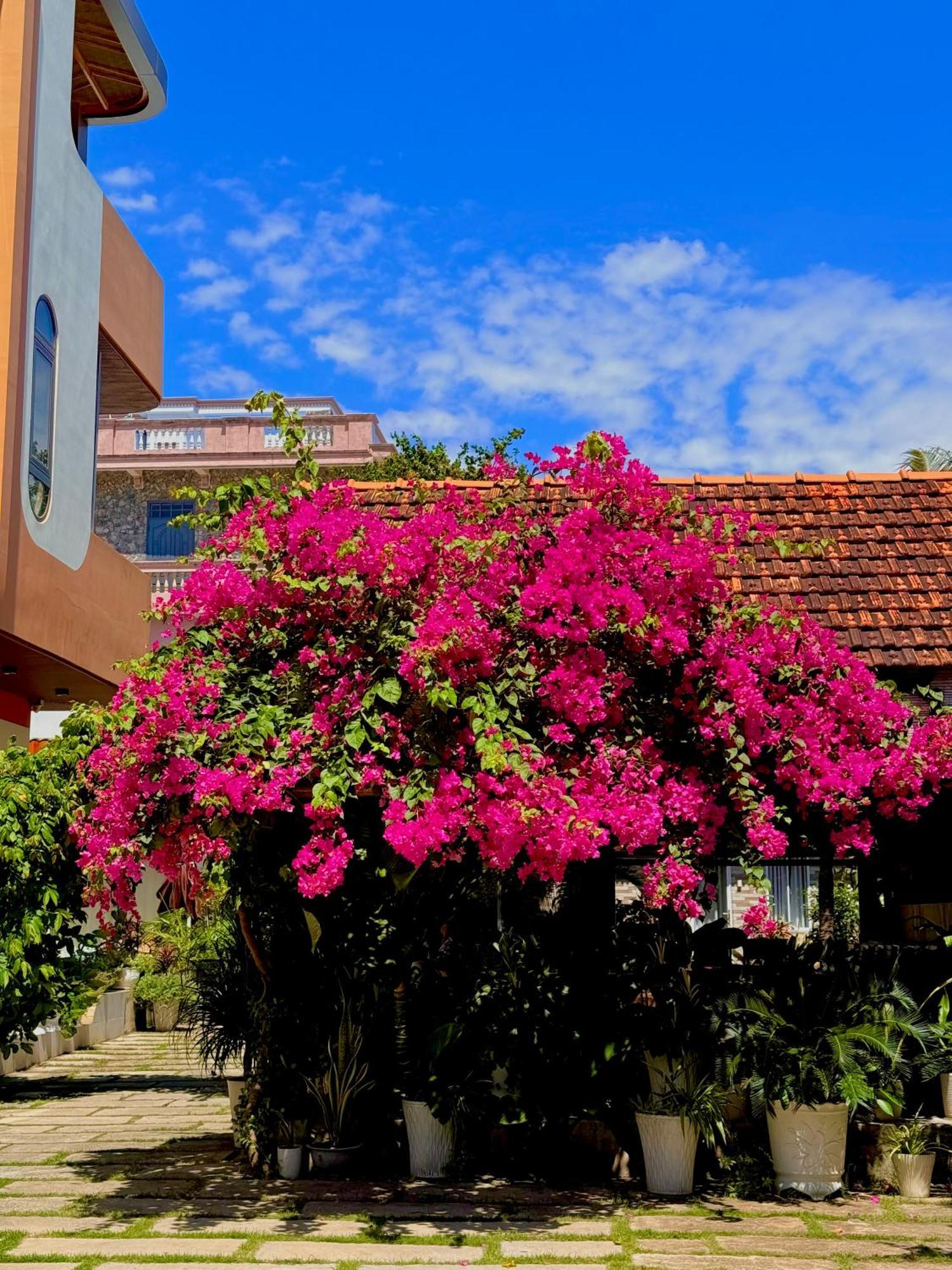 Ho Coc Homestay المظهر الخارجي الصورة