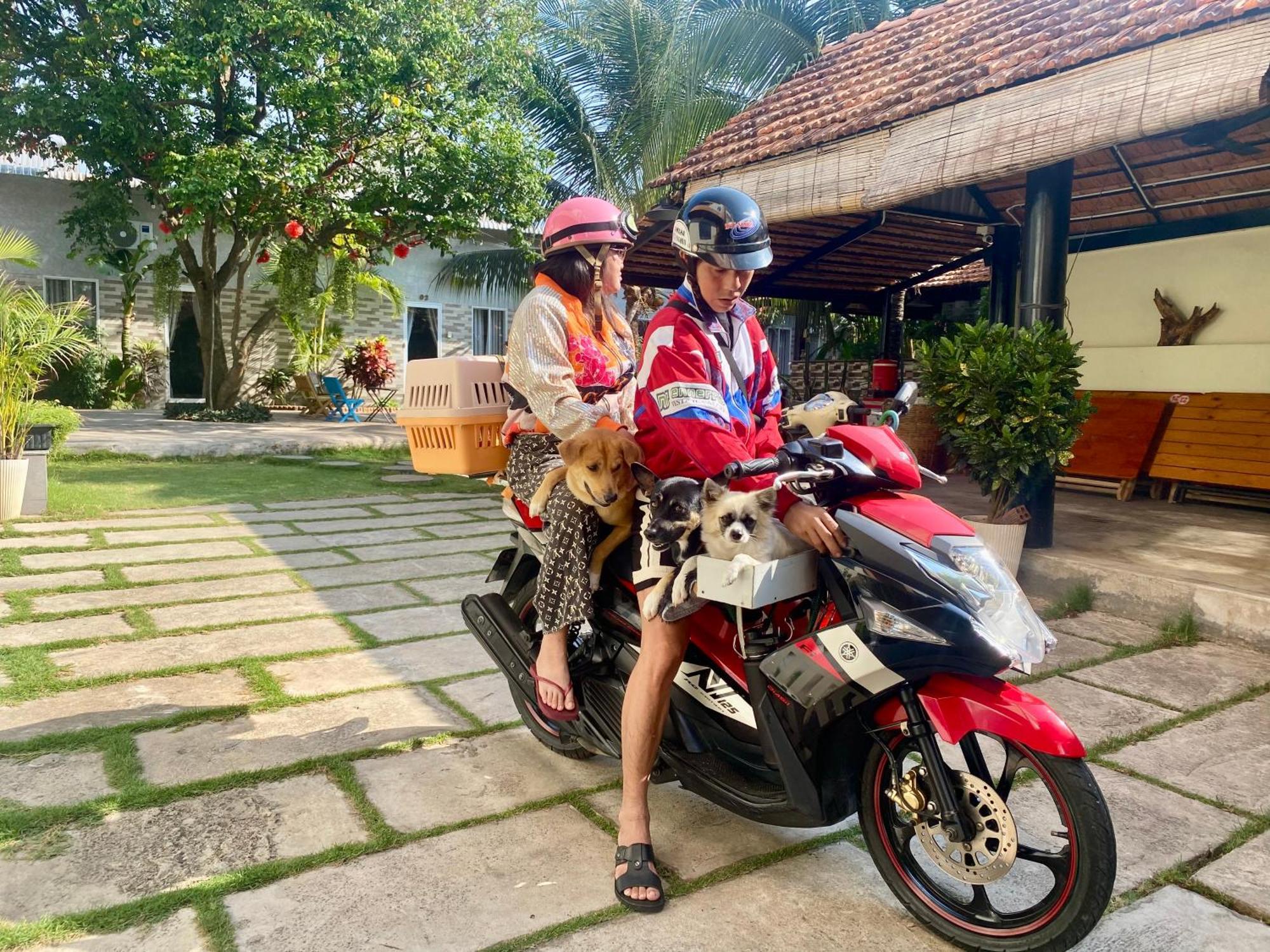 Ho Coc Homestay المظهر الخارجي الصورة